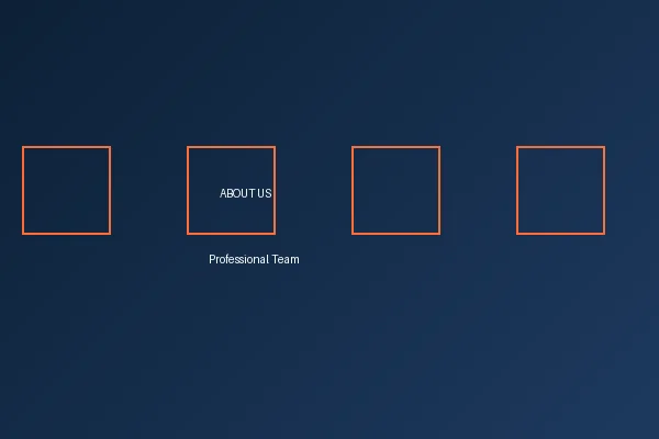 乐天堂专业团队合影